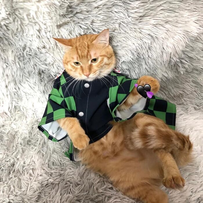 Костюм для собак та котів ChoChoCho Spirited Away No-Face, плюшевий халат, косплей, для Хелловіну, регульований, S/M