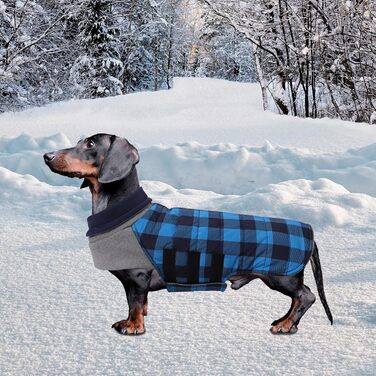 Теплий водонепроникний зимовий одяг для собак (Такса) - блакитний, розмір L, в клітинку