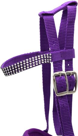 Зауваження для іграшкових коней PFIFF 'Lotty' (103126), універсальний розмір, фіолетовий