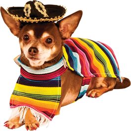 Костюм для собак Рубіс: мексиканський сарапе, розмір S, для Хелловін