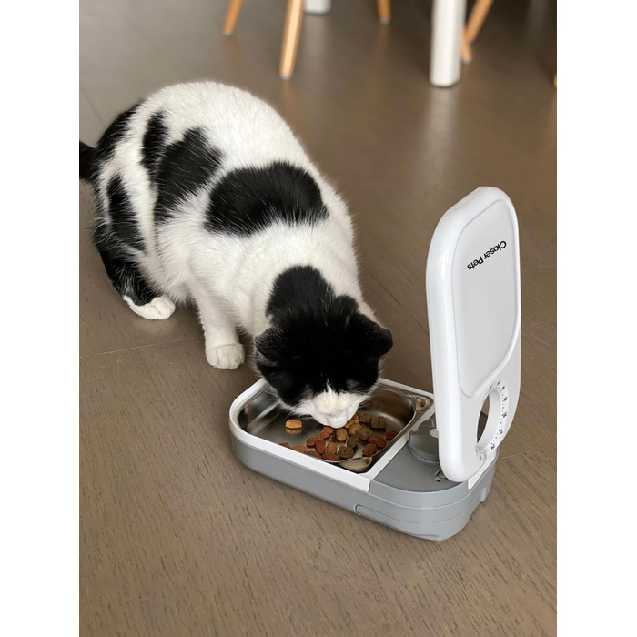 Автоматична годівниця Closer Pets C100 для котів і маленьких собак з мискою з нержавіючої сталі