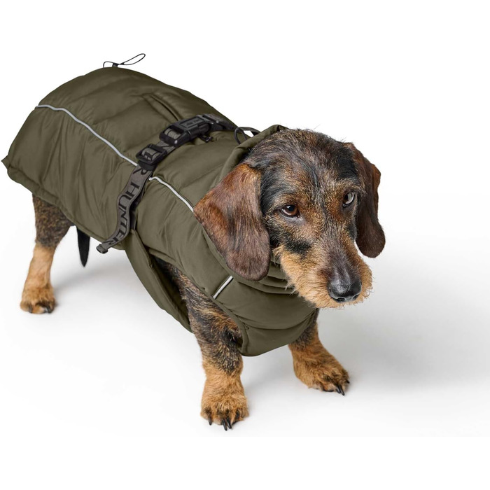 Накидка для собак HUNTER Paxson для такс, оливковий колір, водонепроникна та тепла, з підкладкою, для захисту від негоди, світловідбиваюча, для маленьких собак з довгим тулубом, розмір (40)
