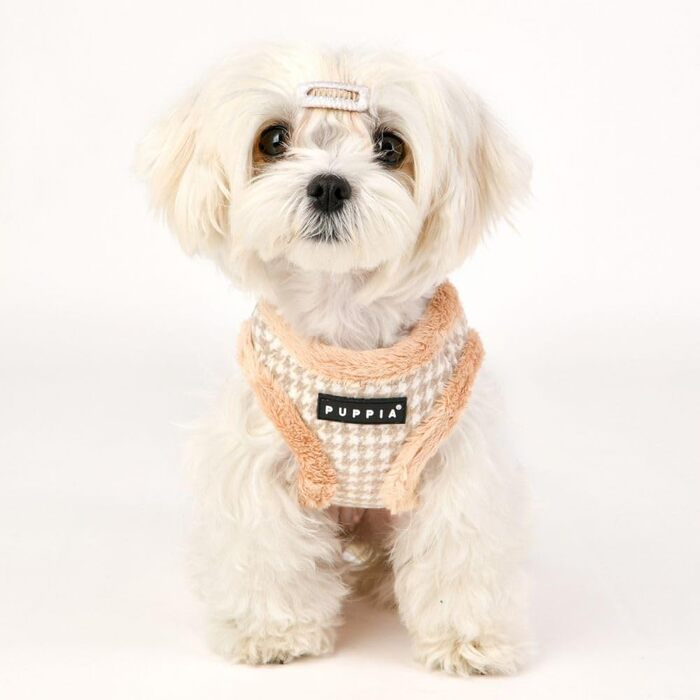 Шлея для малих і середніх собак Puppia Shepherd Harness B, регульована, комфортна, бежева, розмір L