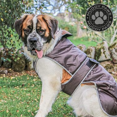 Ancol Muddy Paws – водонепроникна куртка та захист грудей для собак