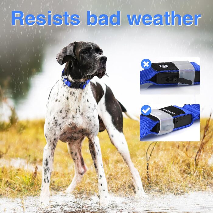 Світловідбиваючий нашийник для собак MABRILL з LED підсвічуванням, водонепроникний, 3 режими світіння, чорний/синій (S)