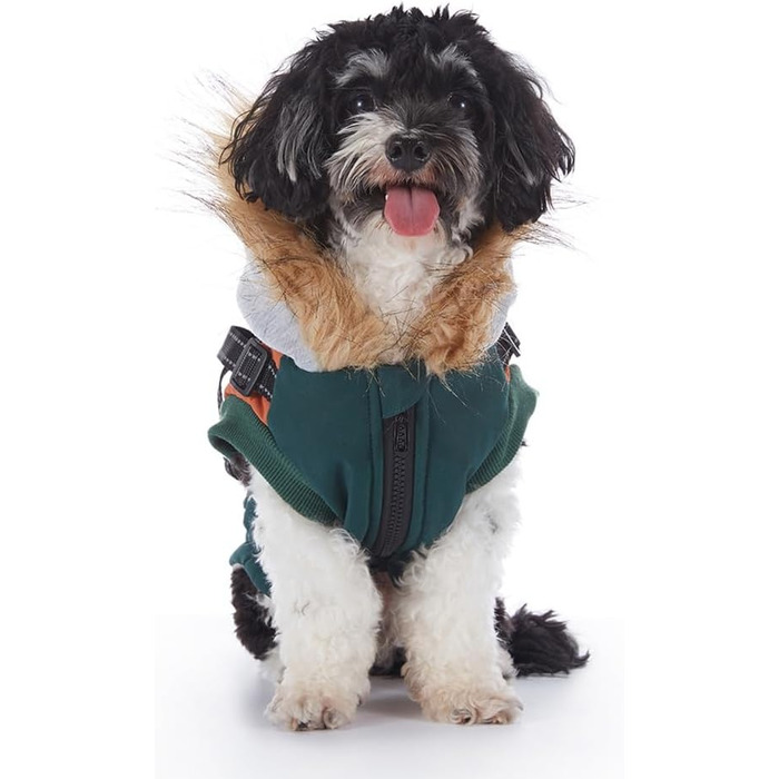 Теплий зимовий одяг для собак: водонепроникна куртка-худі для маленьких та середніх собак з світловідбиваючим дзеркалом (зелений, S)