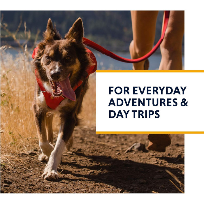 Шлейка для собак Ruffwear Switchbak з кишенями, Red Sumac, середній розмір