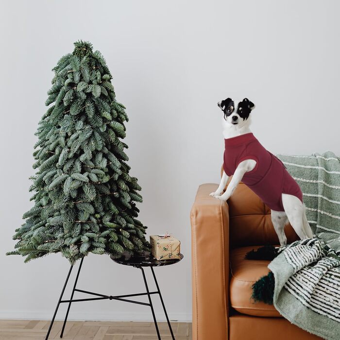 Тіло для собак після операції, захист від лизання, повітропроникний боді для собак після стерилізації/кастрації, рожевий/червоний, XS