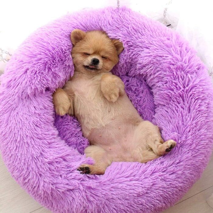 Розкішне ліжко для собак та котів з м'якого хутра, машинного прання, самонагріваюче, з м'якою подушкою, для середніх та великих тварин (XL: 100 см, фіолетовий)
