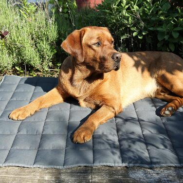 Килимок для собак Your Gear Lana, 120 x 80 см, бавовна Oeko-Tex, м'який, міцний, для дому та вулиці