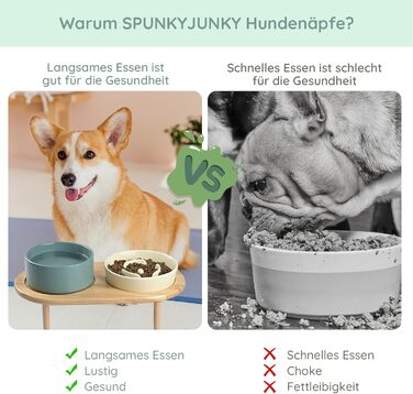 Набір керамічних мисок для собак та котів SpunkyJunky: миска проти запобігання ковтання + підставка з бамбука (Бежевий + Темно-зелений), Ø15.5 см