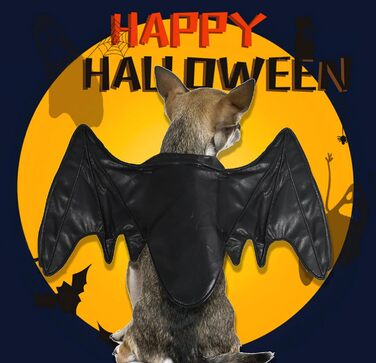 Костюм на Хелловін для собак: Флері, Дракон, Птах - крила (чорні, M)