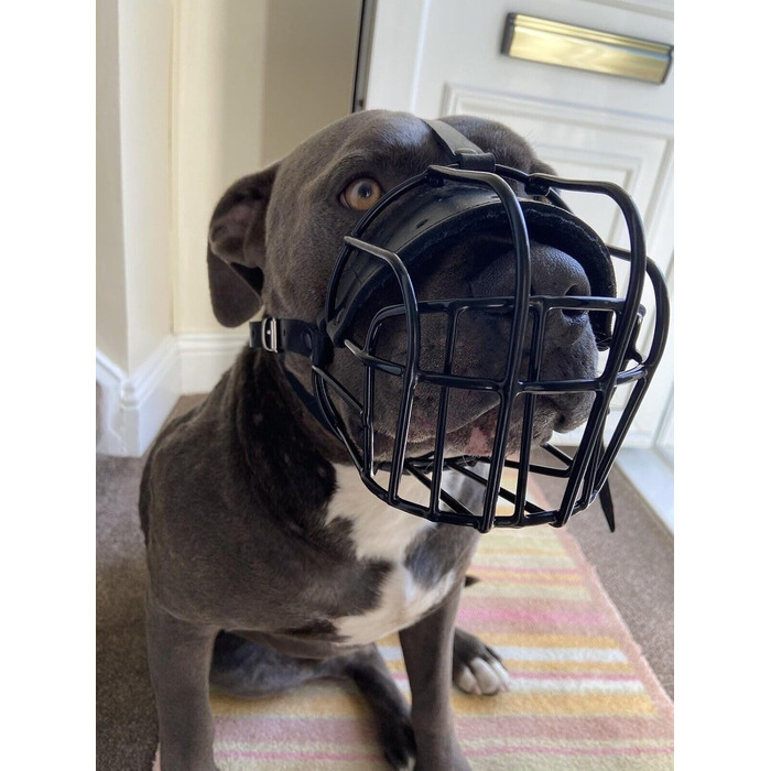 Корзина для собак American Bully з чорної шкіри та дроту (BA, коричнева шкіра / срібло)