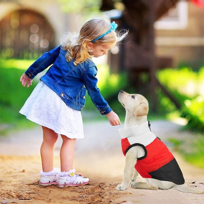 Зимовий одяг для собак Idepet: водонепроникний пуловер, куртка, теплий костюм для снігу. XS, S, L (M, Чорний)