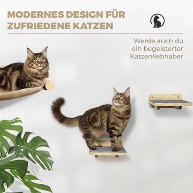 WOOWOOD® Комплект для лазіння котів на стіну (5 частин) - дерев'яний комплекс для котів з драбиною, гамаком та когтеточкою