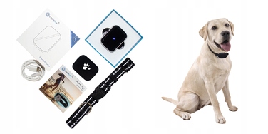 GPS-трекер для собак CALMEAN Maxi + нашийник L/XL