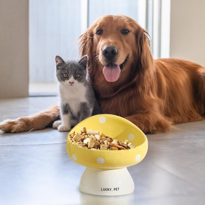 Миска для котів, 200 мл, мила форма гриба, кераміка, піднята миска, миски для котів, плоский вус, дружня миска для тварин, проти блювоти, піднята миска для корму (Жовта)