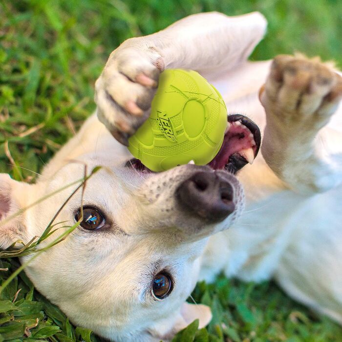 Іграшка для собак Nerf Dog, м'яч-брязкальце 9,7 см, зелений, для апорту, для середніх і великих порід, для дому та вулиці
