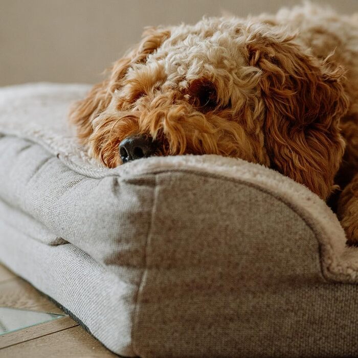 Ортопедичний кутовий диван Nobby CALBU бежевий 100 x 65 x 19 см