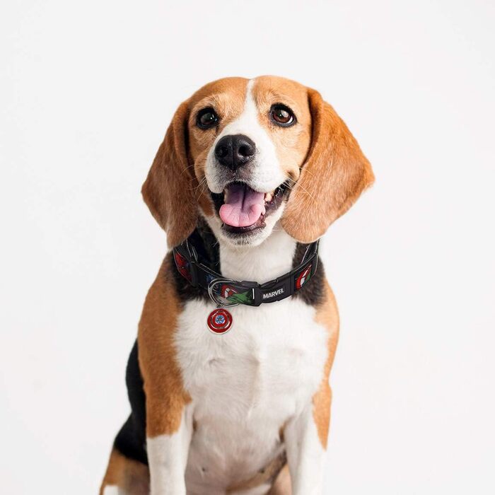 Нашийник для собак Cerdá Life's Little Moments Marvel M/L – офіційний ліцензований товар – регульований нашийник для собак середніх та великих порід – комфортний та міцний – Dog Collar M/L (1 шт.)