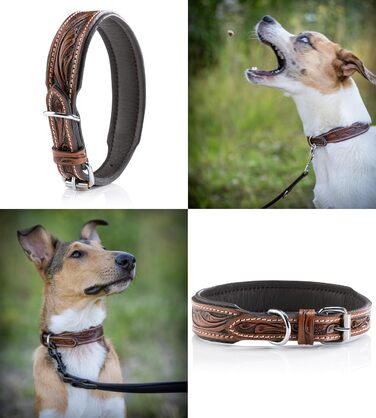 Нашийник для собак Джек Рассел з натуральної шкіри буйвола, ручної роботи, Talia (XL, 46-58 см)