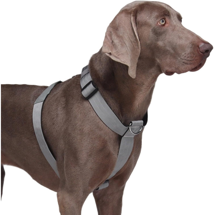Шлейка для собак FeimaX великих порід, тактична, не тягне, дихаюча, комфортна (XL, сіра)