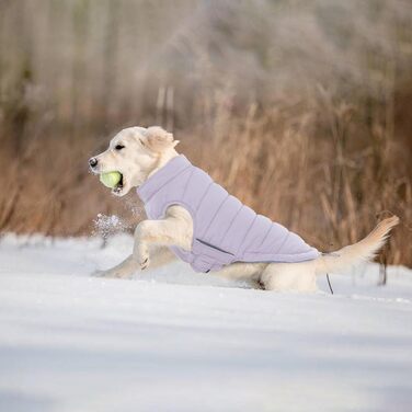 Водонепроникний та вітронепроникний зимовий теплий куртка для собак Lelepet, Puffer-жилет, для маленьких собак, Chihuahua, зелений, розмір 3XL, фіолетовий