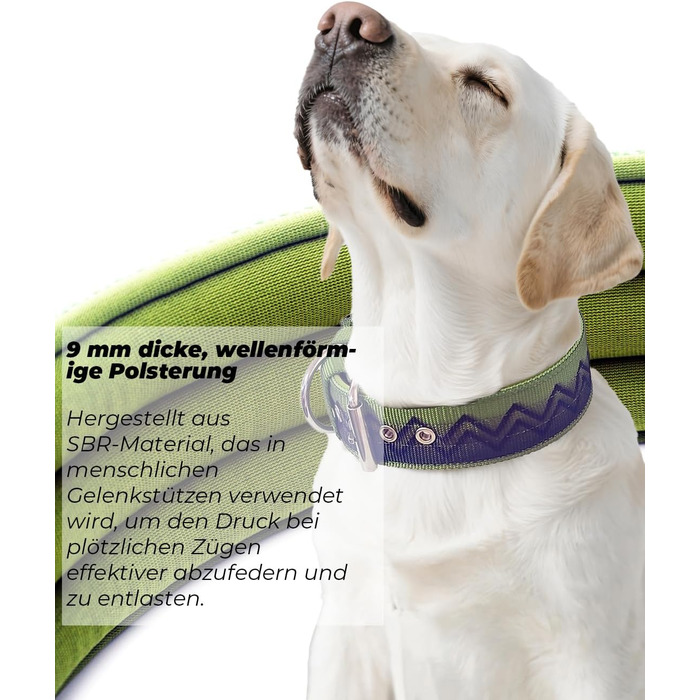 Нашийник для собак Premium NeckShield Kontroll – 5 см, з посиленим амортизуючим наповнювачем, сертифікована безпека SGS, професійний захист для великих і дуже великих собак, 50-58 см, колір Джунглі Ніч