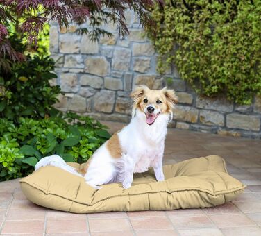 Елегантна подушка для собак Maxy, кремового кольору, 60x100 см