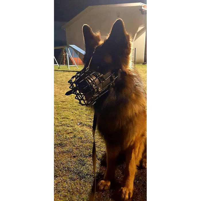 Металевий намордник з гумовим покриттям Dingo Gear для ротвейлера, універсальний, професійний, зручний для довгих прогулянок S03046