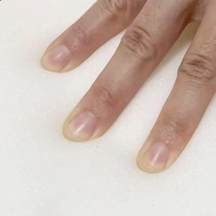 Рампа для собак та котів Cat Escabeau – портативна, складна, з неслизькою платформою, червона