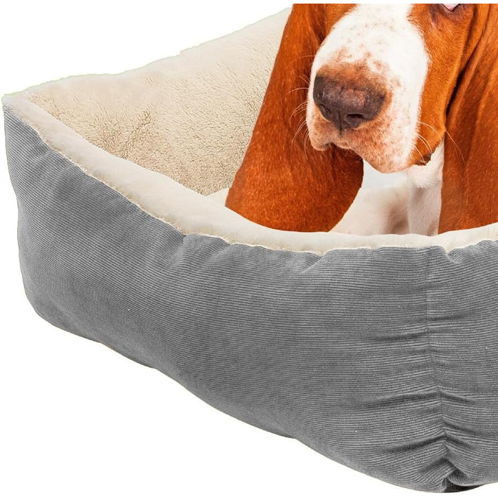 Крісло-ліжко для собак та котів, 60x50 см, бежеве - м'яке, з бортиком