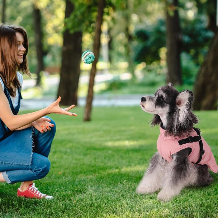 Куртка для собак Norbi, зимовий теплий плащ з інтегрованим нашийником, регульований, для маленьких та великих собак, холодна погода (X-Large, Рожевий)