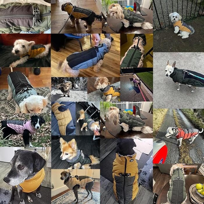 Зимовий теплий водонепроникний теплий одяг для собак Poseca: куртка, жилет, одяг для собак, шлейка, куртка з відбиваючими елементами, еластичний одяг для собак (XS, блакитний)