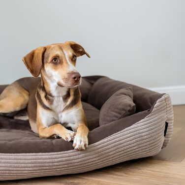 4L Textil Hundebett Molly - зручне ліжко для собак середніх порід, м'який велюр, коричневий колір (100x80 см)