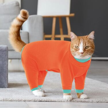 Флісовий пуловер для кота, теплий зимовий одяг для котів, комбінезон з високим коміром, теплий одяг для кошенят на осінь та зиму (AreeGrün, ) AreeGrün (S, Orange)