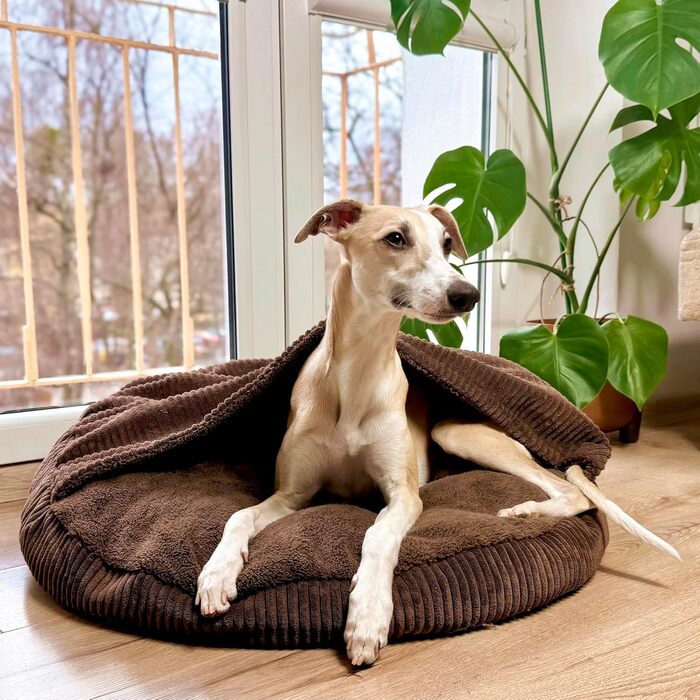 Ліжко для собак 4L Textil Vigo з капюшоном, печеринка для собак, ковдра, корзина для собак, спальний мішок для собак, корзинка для собак, матеріал: Cord, середні породи собак, з ковдрою (Темно-коричневий, L 90 x B 90 x H 12 см)