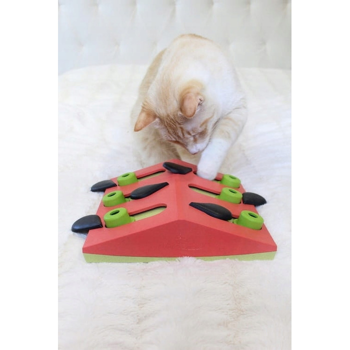 Інтерактивна головоломка для котів Nina Ottosson Cat Puzzle Play — Melon Madness