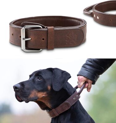 Преміум шкіряний нашийник для собак Джек Рассел з ручкою - міцний нашийник з натуральної шкіри буйвола Jack (L) (48.0-60.0см)
