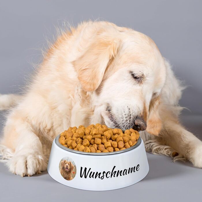 Миска для корму для собак PhotoFancy® з фотографією - персоналізована з власним зображенням, макет 2