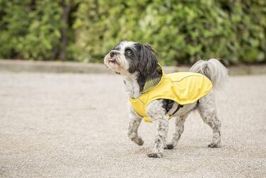 Жовта дощова куртка CHIARA Scotty Regenjacke з інтегрованою підкладкою (L, 100% поліестер, спортивна, водонепроникна)