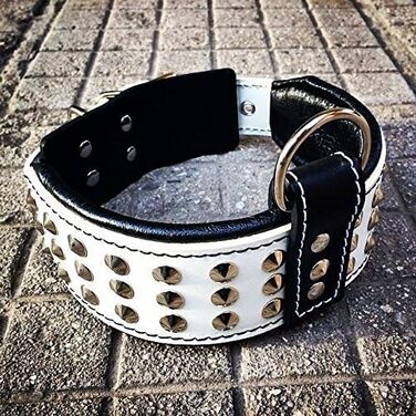 Bestia Star нашийник для собак з шипами та м'якою підкладкою, ширина 6,5 см