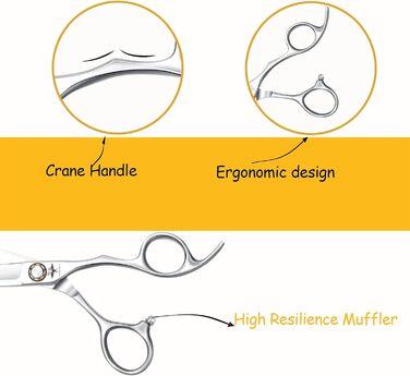 Професійні ножиці для стрижки волосся PURPLEBIRD 6 дюймів, 440C сталь, для жінок та чоловіків, прямі