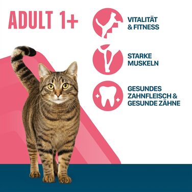 Сухий корм для дорослих котів Perfect Fit Adult 1+ з лососем, 7 кг