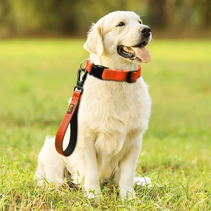 PLUTUS PET короткий повідок для собак 25,4 см, міцний з карабіном, м'яка нейлонова ручка, для великих та середніх собак, оранжевий