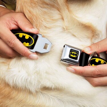 Нашийник для собак Buckle Down з пряжкою-ременем безпеки, Batman, ширина 2,5 см, на шию 38-66 см, розмір L