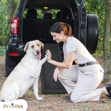 Рампа для собак у машину, складана – 174 см, 38 см – чорна, для великих собак, до 136 кг – підходить для авто та SUV