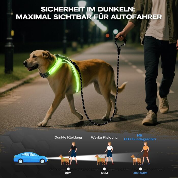 LED нашийник для собак з повідком, світловідбиваючий, перезаряджуваний, для нічних прогулянок