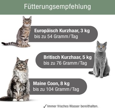 Сухий корм для дорослих котів PLATINUM MeatCrisp з куркою, беззерновий, 1.5 кг