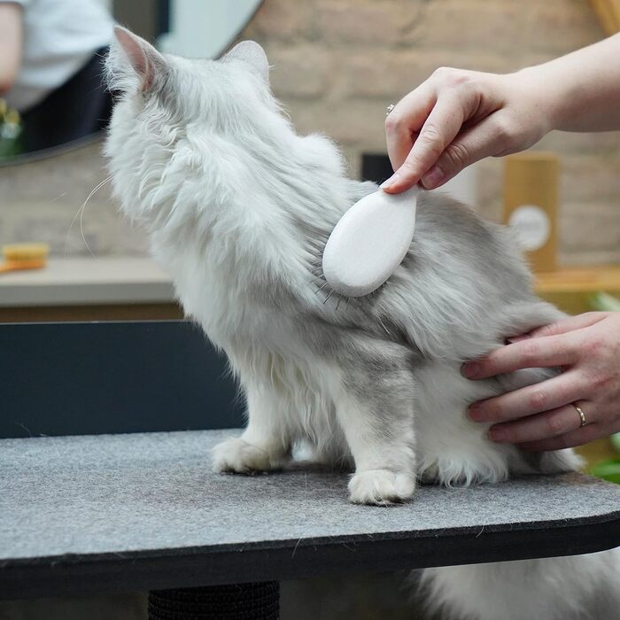 Щітка для котів LucyBalu® для короткої та довгої шерсті | Щітка для вичісування шерсті котів | Щітка для підшерстка котів | Гребінець для котів для догляду за шерстю | Щітка для шерсті тварин | Щітка для котів з металевими щетинками та дерев'яною ручкою б